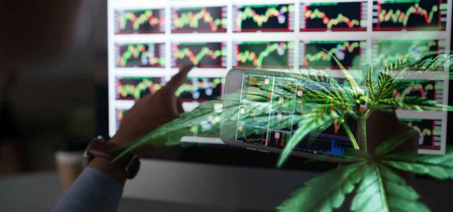 Top Marijuana Stocks To Watch While The Market Is Down