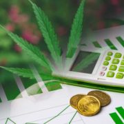 Top US Cannabis Stocks To Buy In November? 2 To Watch As Pot Stocks See Gains