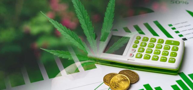 Top US Cannabis Stocks To Buy In November? 2 To Watch As Pot Stocks See Gains