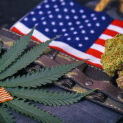 VA rejects cannabis research as veterans plead for medical pot