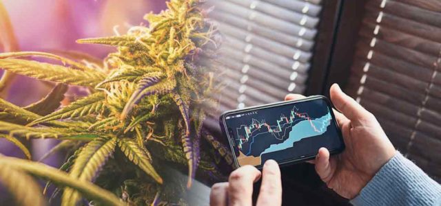 2 Marijuana Stocks To Watch At The End Of The Day