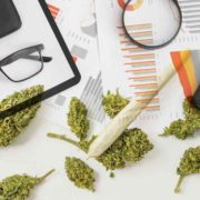 2 New Marijuana Stocks To Add To Your Watchlist In 2022
