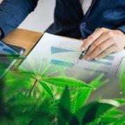 3 Canadian Marijuana Stocks To Watch Before The Start Of 2022