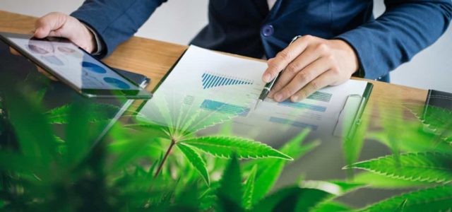 3 Canadian Marijuana Stocks To Watch Before The Start Of 2022
