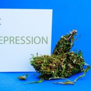A Brief Look Into Cannabis and Depression