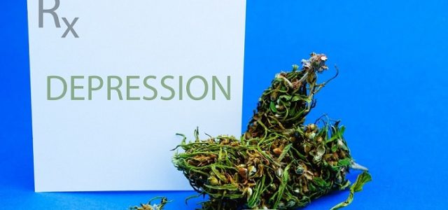 A Brief Look Into Cannabis and Depression