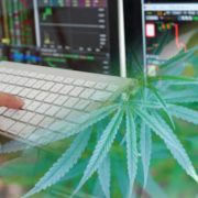 Are These 3 Marijuana Stocks On Your Radar In 2022?
