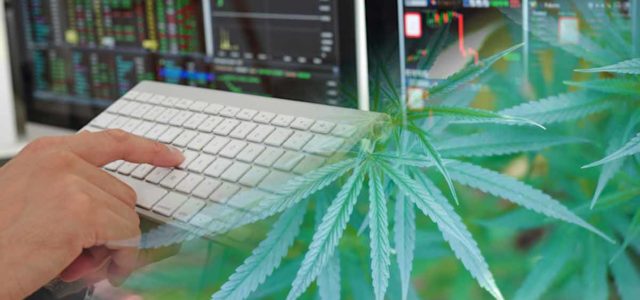 Are These 3 Marijuana Stocks On Your Radar In 2022?