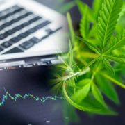 Are These Marijuana Stocks On Your Radar In 2022? Here’s Why They Should Be