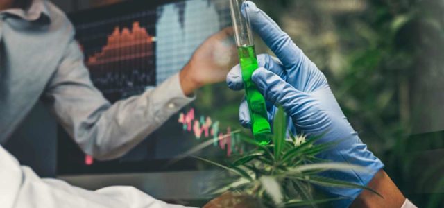 Are You Ready To Find Marijuana Stocks To Buy In 2022? Check Out These 2 Companies