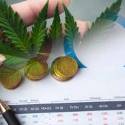 Best Cannabis Stocks To Buy? 2 To Watch For Robinhood And Reddit Investors