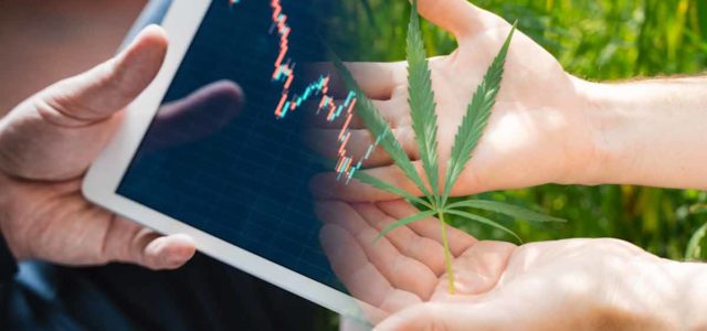 Best Marijuana Penny Stocks Right Now? 2 With Higher Price Targets From Analysts