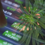 Best Marijuana Stocks For Your 2022 Watchlist Right Now