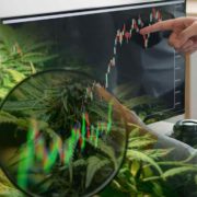 Best Marijuana Stocks To Buy In December? 2 Penny Pot Stocks For You Watchlist Right Now