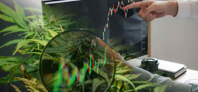 Best Marijuana Stocks To Buy In December? 2 Penny Pot Stocks For You Watchlist Right Now