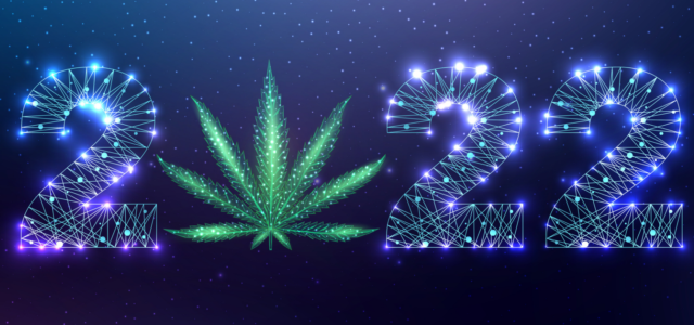 Cannabis in 2022: Let’s Look Forward Instead of Back