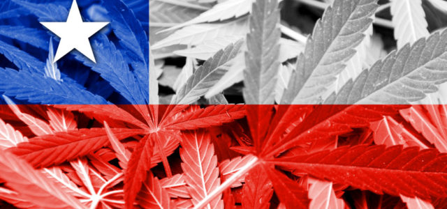 Chile’s Presidential Elections: A Win-Win for Cannabis (Sorta …)