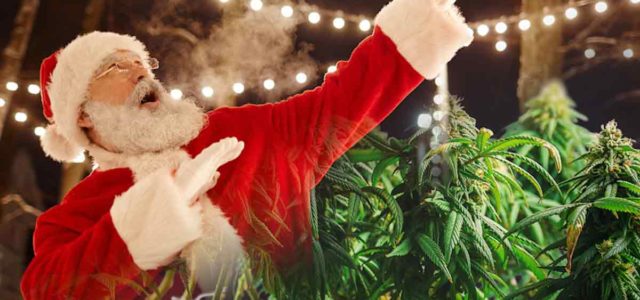 Happy Holidays From MarijuanaStocks.com