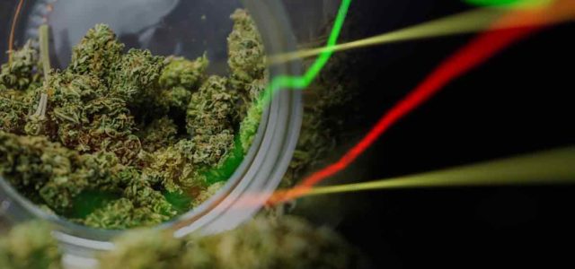 Hot Marijuana Stocks To Buy Before The End Of 2021? 2 To Take A Look At Now