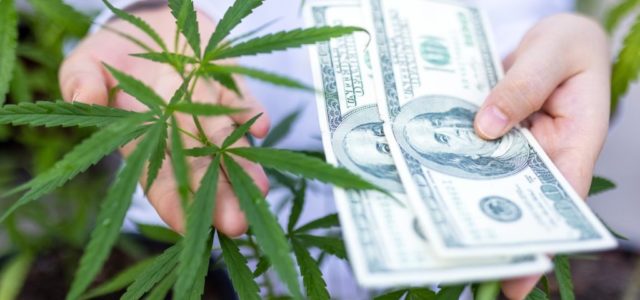 Innovative Industrial Properties Inc: Pot Stock Outshines Apple, Amazon, & Meta in 2021