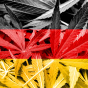 Legalization is a learning curve: Germany is in the driver’s seat to make adult-use a reality