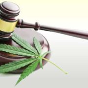 Legislators In Maryland Want To Correct The States Cannabis Legislation In 2022
