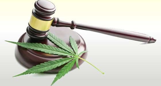 Legislators In Maryland Want To Correct The States Cannabis Legislation In 2022