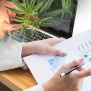 Looking For Top Marijuana Stocks For Next Year? 2 For You List Right Now