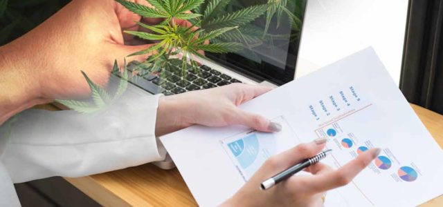 Looking For Top Marijuana Stocks For Next Year? 2 For You List Right Now