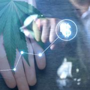 Marijuana Penny Stocks To Add To Your December 2021 Watchlist