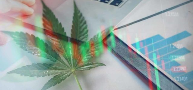 Marijuana Penny Stocks To Buy In December? 2 To Watch Right Now