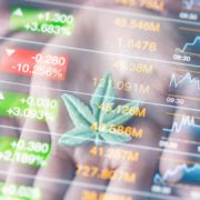 Marijuana Penny Stocks To Watch In The Second Half Of December