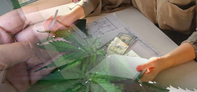Marijuana Stock Investors Are Preparing For The New Year Are You?