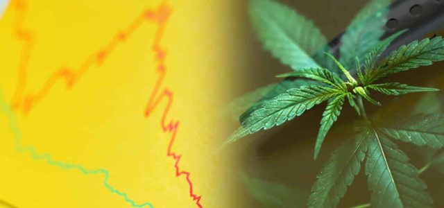 Marijuana Stocks To Watch As Shareholders Focus On 2022