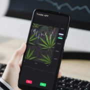 Marijuana Stocks To Watch For Better Trading In 2022