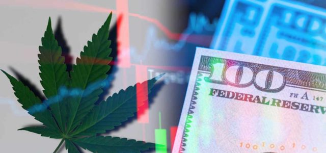 Marijuana Stocks To Watch Right Now As December Is Almost Here