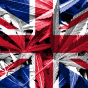 New THC Level Guidance Welcomed – But Further Concerns UK CBD Industry Is To Become Isolates Only