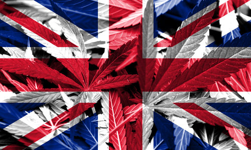 New THC Level Guidance Welcomed – But Further Concerns UK CBD Industry Is To Become Isolates Only