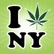 New York Cannabis Control Board: Fourth Meeting News