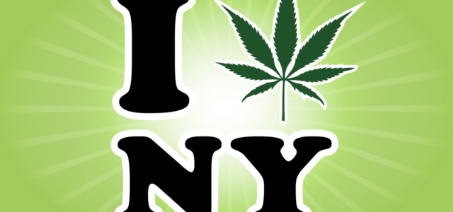 New York Cannabis Control Board: Fourth Meeting News