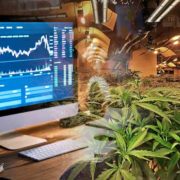 Top Cannabis Stocks To Buy In 2022? 3 Marijuana REITs For Your Long-Term Portfolio