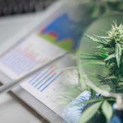 Top Marijuana ETFs For Q1 2022