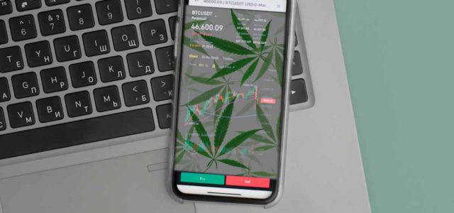 Top Marijuana Penny Stocks To Buy? 2 With Price Targets Higher Than 200% From Analysts
