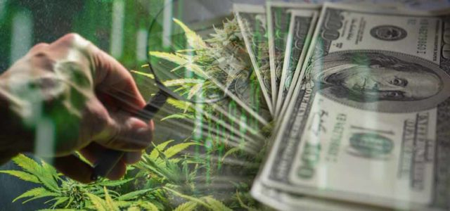 Top Marijuana Stocks To Watch As We Get Closer To 2022