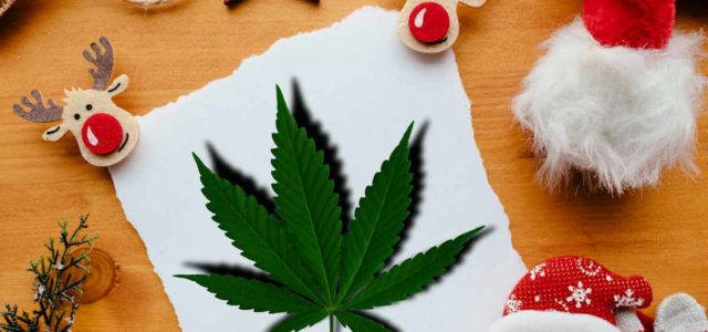 Top Marijuana Stocks To Watch When The Stock Market Opens Next Week