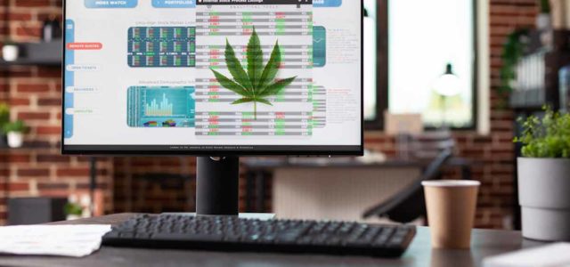 Will 2022 Be The Year Marijuana Stocks Make A Comeback?