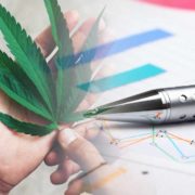 Will These Marijuana Stocks Be On Your New Year’s Watchlist?