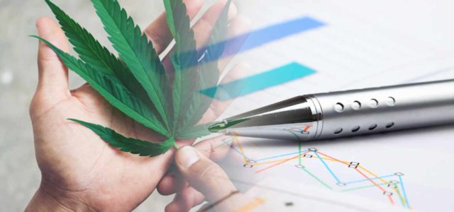 Will These Marijuana Stocks Be On Your New Year’s Watchlist?