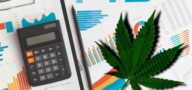 2 Marijuana Stocks To Watch The First Week Of The New Year
