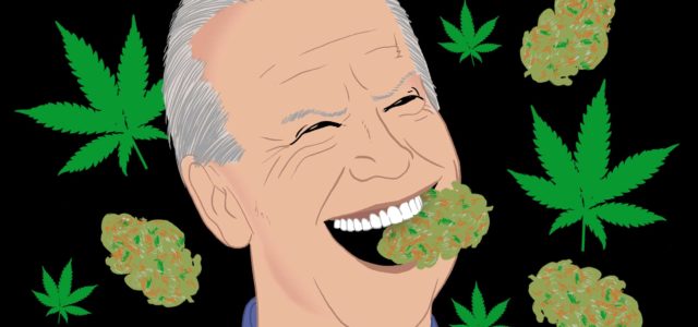 Americans Feel Joe Biden Will Not Keep His Campaign Pledge On Cannabis Reform